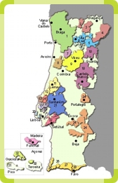Wine Regions in Portugal