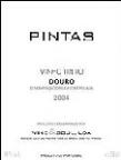 PINTAS 2005