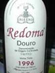 REDOMA - NIEPOORT 1996