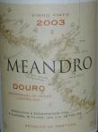 MEANDRO - 2003
