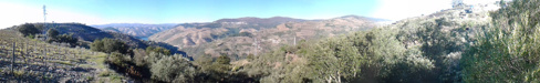 Aradas Roriz panoramica